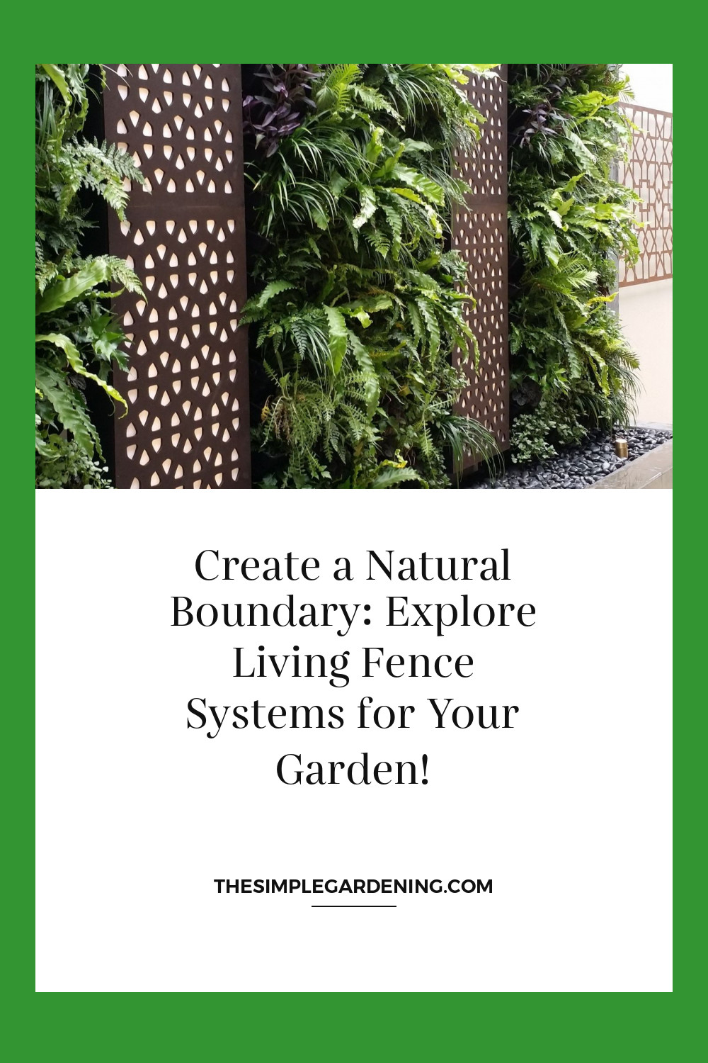 Create a Natural Boundary: Explore Living Fence Systems for Your Garden!